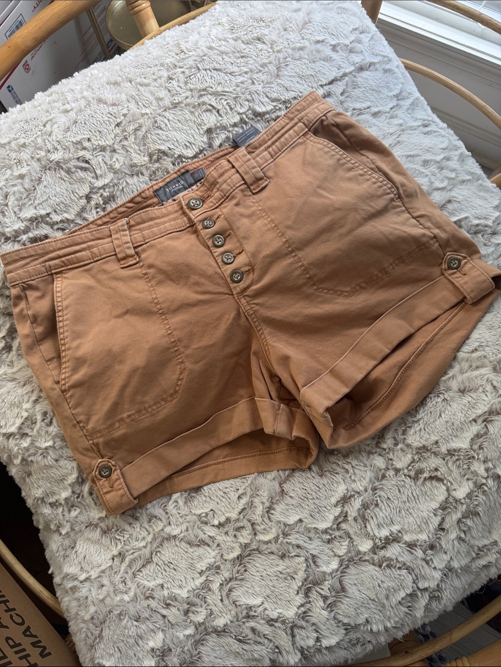 Torrid  Shorts